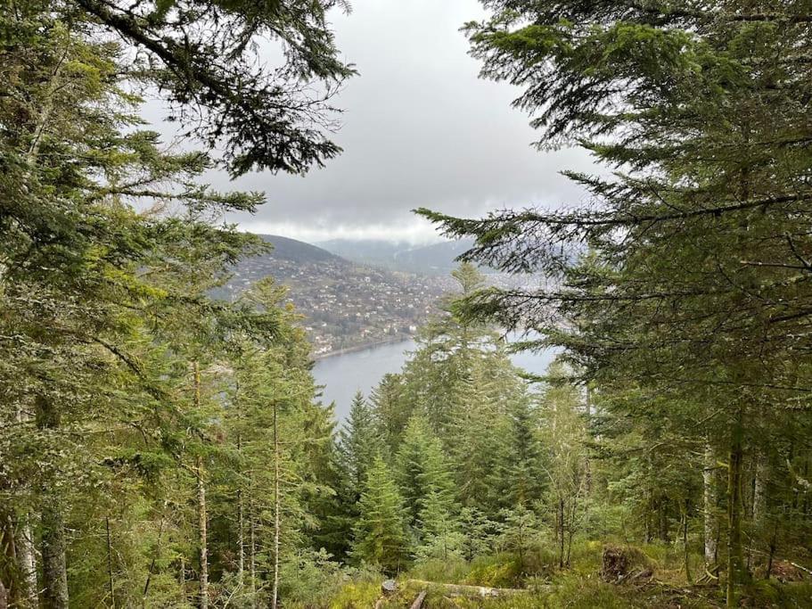 Chalet 3 Etoiles A Gerardmer. Екстер'єр фото