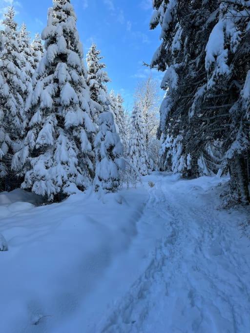 Chalet 3 Etoiles A Gerardmer. Екстер'єр фото