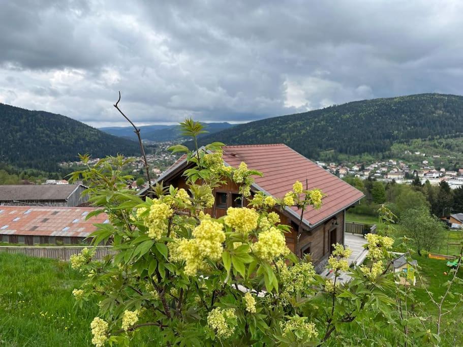 Chalet 3 Etoiles A Gerardmer. Екстер'єр фото