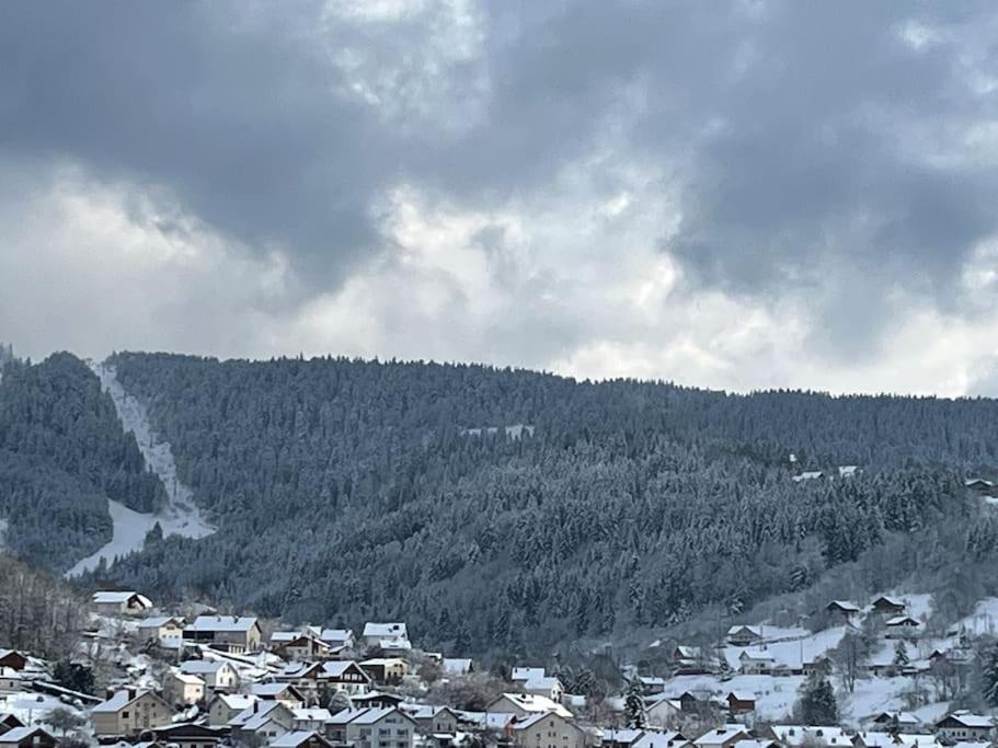 Chalet 3 Etoiles A Gerardmer. Екстер'єр фото