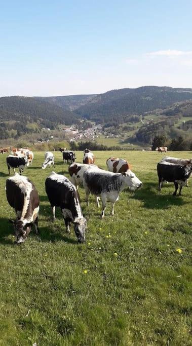 Chalet 3 Etoiles A Gerardmer. Екстер'єр фото