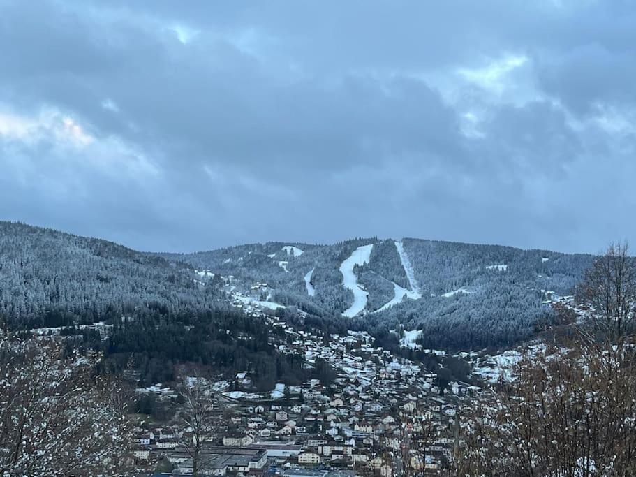 Chalet 3 Etoiles A Gerardmer. Екстер'єр фото