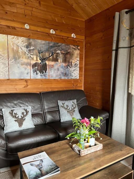 Chalet 3 Etoiles A Gerardmer. Екстер'єр фото