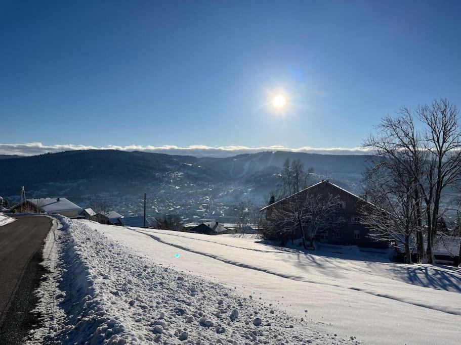 Chalet 3 Etoiles A Gerardmer. Екстер'єр фото