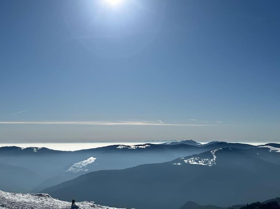 Chalet 3 Etoiles A Gerardmer. Екстер'єр фото