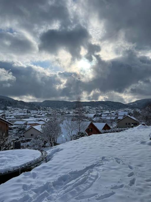 Chalet 3 Etoiles A Gerardmer. Екстер'єр фото