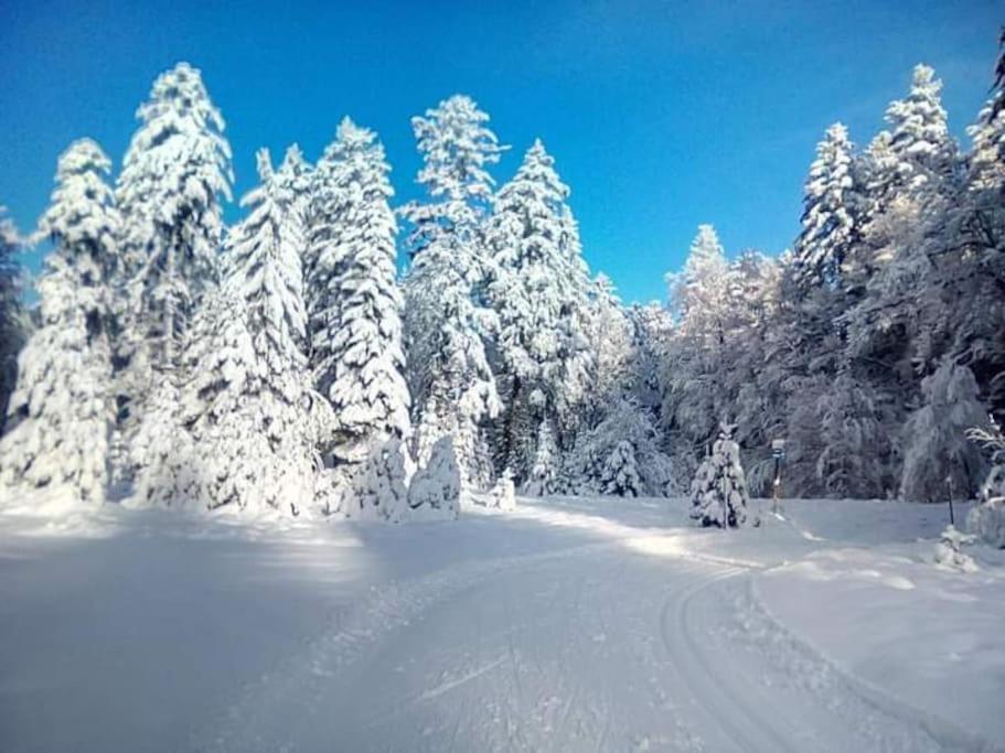 Chalet 3 Etoiles A Gerardmer. Екстер'єр фото