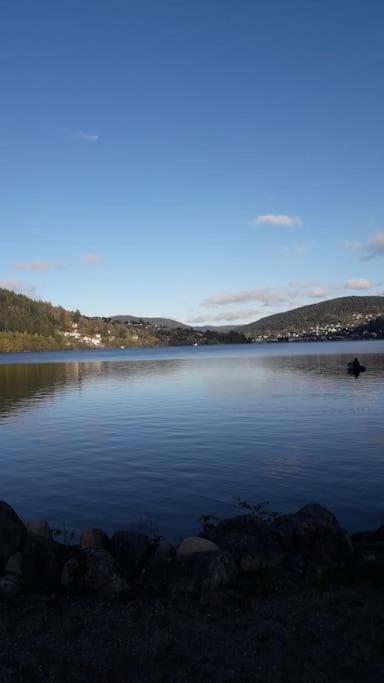 Chalet 3 Etoiles A Gerardmer. Екстер'єр фото