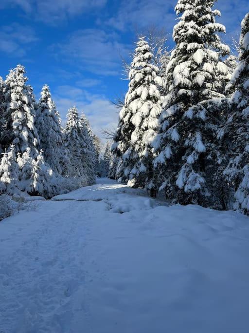 Chalet 3 Etoiles A Gerardmer. Екстер'єр фото
