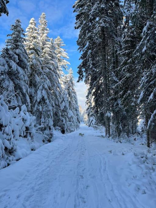 Chalet 3 Etoiles A Gerardmer. Екстер'єр фото