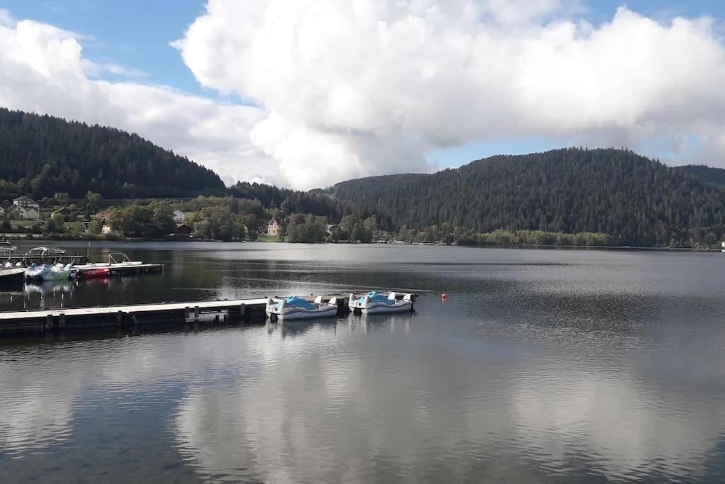 Chalet 3 Etoiles A Gerardmer. Екстер'єр фото