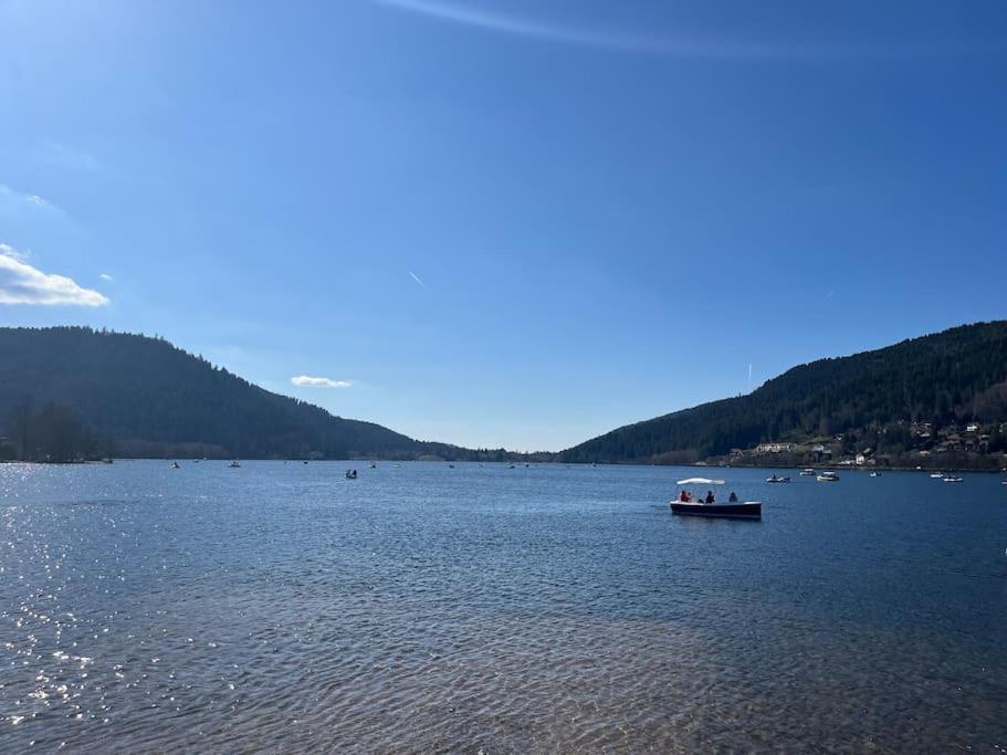 Chalet 3 Etoiles A Gerardmer. Екстер'єр фото